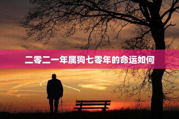 二零二一年属狗七零年的命运如何