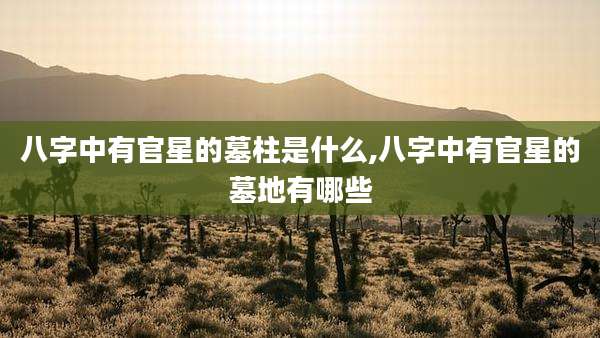 八字中有官星的墓柱是什么,八字中有官星的墓地有哪些