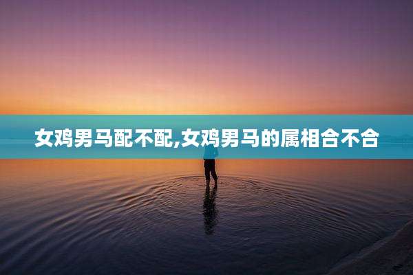 女鸡男马配不配,女鸡男马的属相合不合