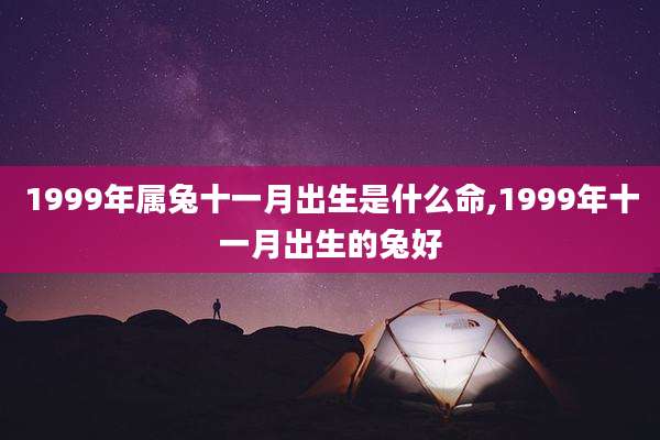 1999年属兔十一月出生是什么命,1999年十一月出生的兔好