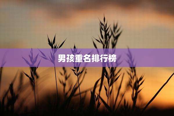 男孩重名排行榜