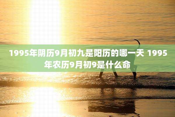 1995年阴历9月初九是阳历的哪一天 1995年农历9月初9是什么命