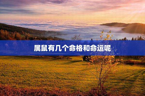 属鼠有几个命格和命运呢