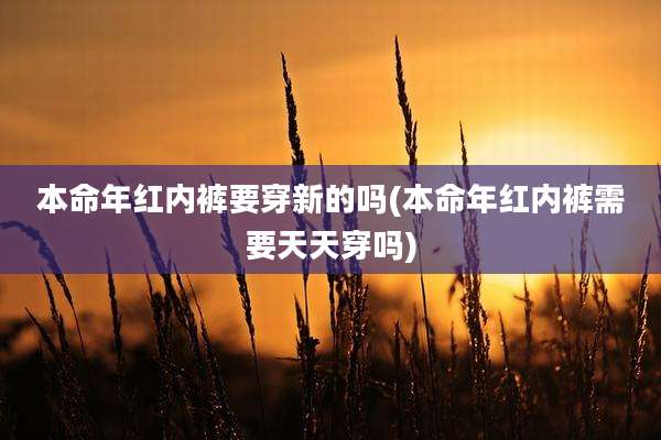 本命年红内裤要穿新的吗(本命年红内裤需要天天穿吗)