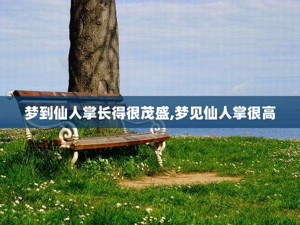 梦到仙人掌长得很茂盛,梦见仙人掌很高