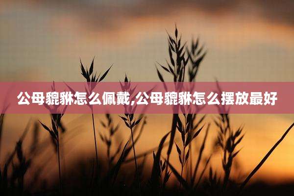 公母貔貅怎么佩戴,公母貔貅怎么摆放最好