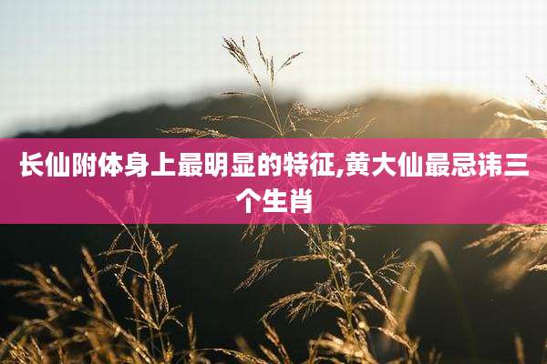 长仙附体身上最明显的特征,黄大仙最忌讳三个生肖