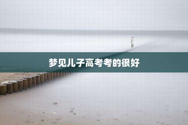 梦见儿子高考考的很好