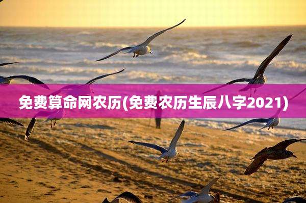 免费算命网农历(免费农历生辰八字2021)