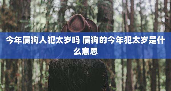 今年属狗人犯太岁吗 属狗的今年犯太岁是什么意思
