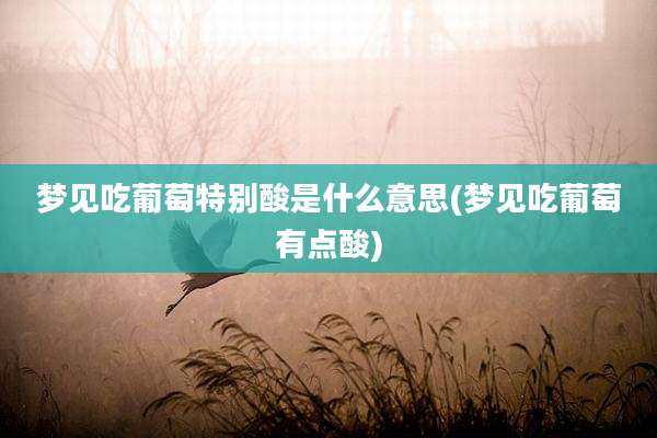 梦见吃葡萄特别酸是什么意思(梦见吃葡萄有点酸)
