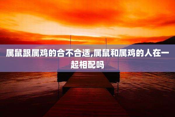 属鼠跟属鸡的合不合适,属鼠和属鸡的人在一起相配吗