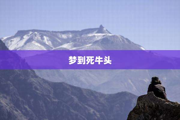 梦到死牛头