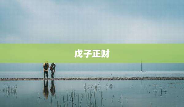 戊子正财