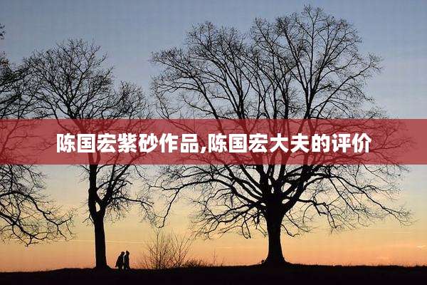 陈国宏紫砂作品,陈国宏大夫的评价