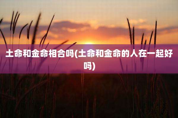 土命和金命相合吗(土命和金命的人在一起好吗)