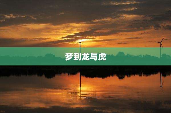 梦到龙与虎