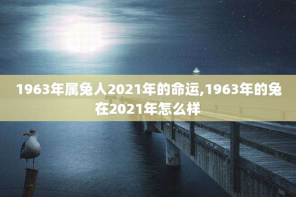 1963年属兔人2021年的命运,1963年的兔在2021年怎么样
