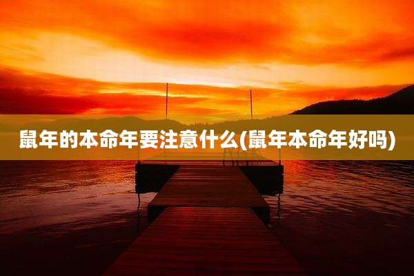 鼠年的本命年要注意什么(鼠年本命年好吗)