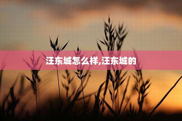 汪东城怎么样,汪东城的