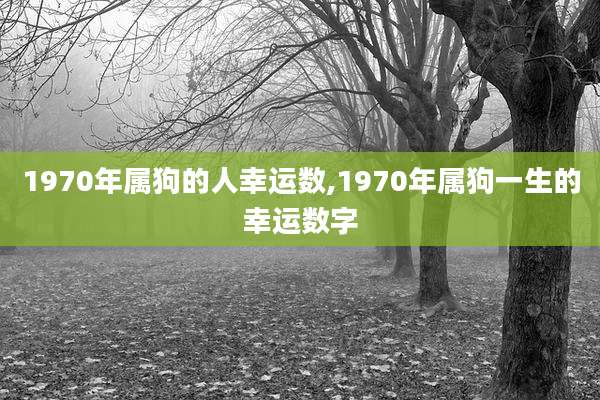 1970年属狗的人幸运数,1970年属狗一生的幸运数字