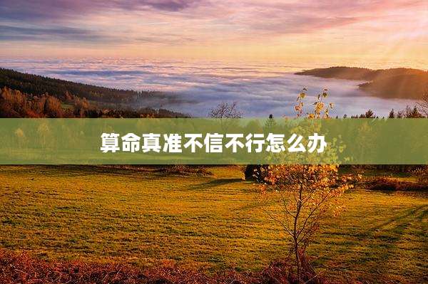 算命真准不信不行怎么办