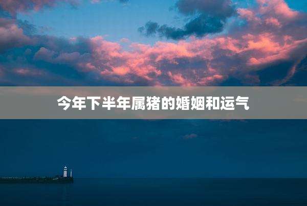 今年下半年属猪的婚姻和运气