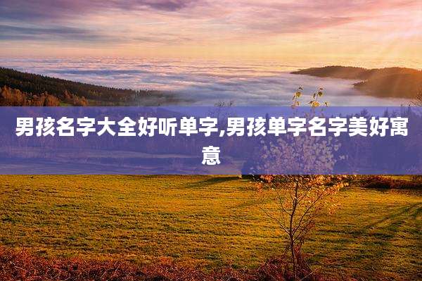 男孩名字大全好听单字,男孩单字名字美好寓意