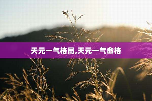 天元一气格局,天元一气命格