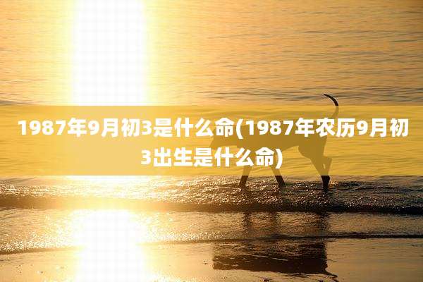 1987年9月初3是什么命(1987年农历9月初3出生是什么命)