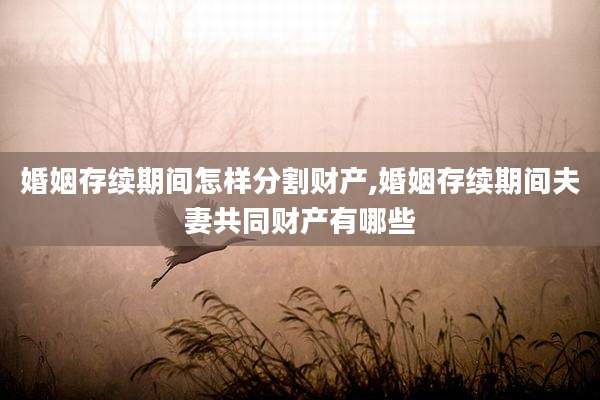 婚姻存续期间怎样分割财产,婚姻存续期间夫妻共同财产有哪些