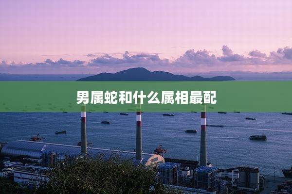 男属蛇和什么属相最配