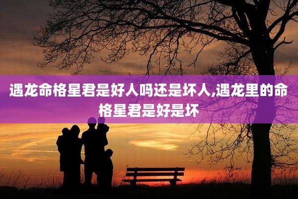 遇龙命格星君是好人吗还是坏人,遇龙里的命格星君是好是坏