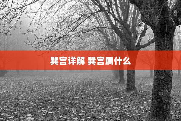 巽宫详解 巽宫属什么