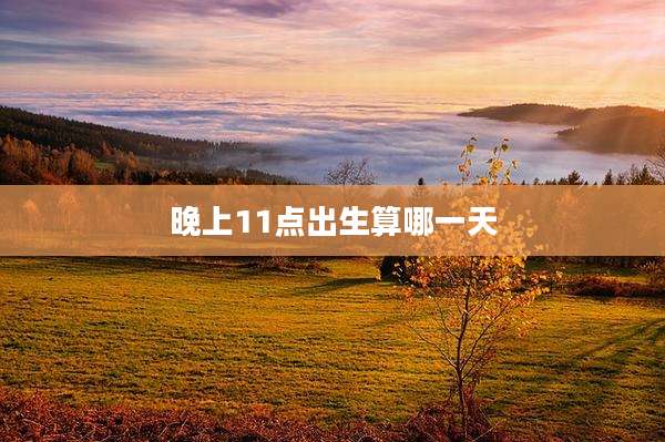 晚上11点出生算哪一天