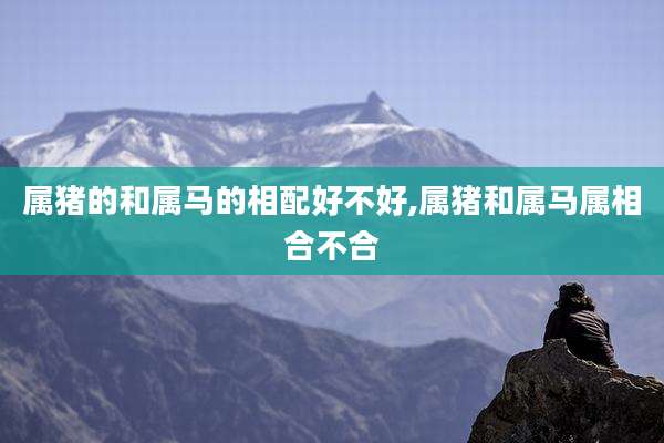 属猪的和属马的相配好不好,属猪和属马属相合不合