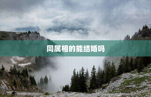 同属相的能结婚吗