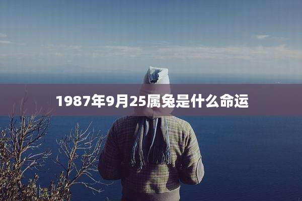 1987年9月25属兔是什么命运