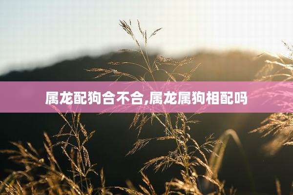 属龙配狗合不合,属龙属狗相配吗