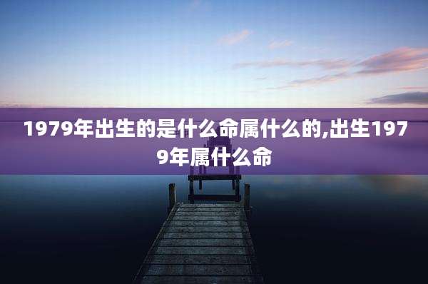 1979年出生的是什么命属什么的,出生1979年属什么命