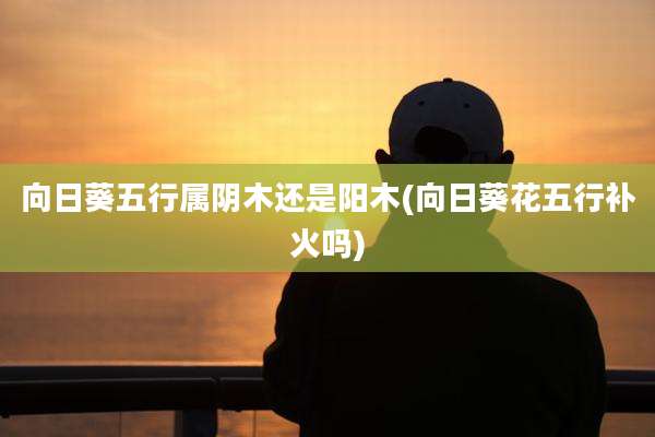 向日葵五行属阴木还是阳木(向日葵花五行补火吗)