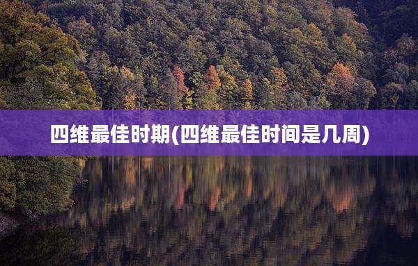 四维最佳时期(四维最佳时间是几周)