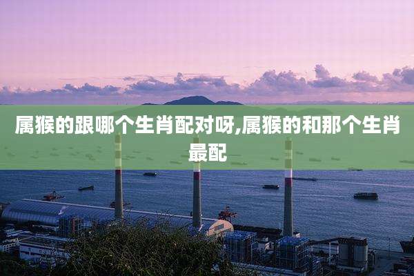 属猴的跟哪个生肖配对呀,属猴的和那个生肖最配