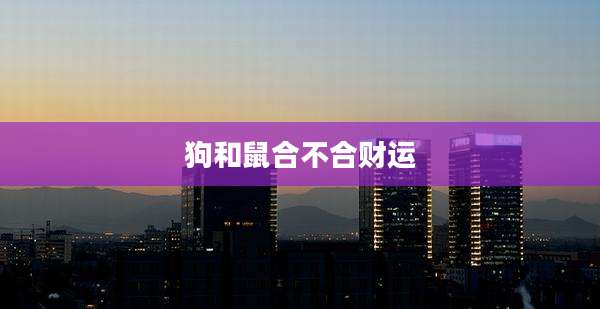 狗和鼠合不合财运