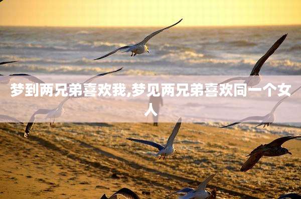 梦到两兄弟喜欢我,梦见两兄弟喜欢同一个女人