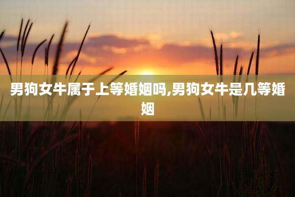 男狗女牛属于上等婚姻吗,男狗女牛是几等婚姻