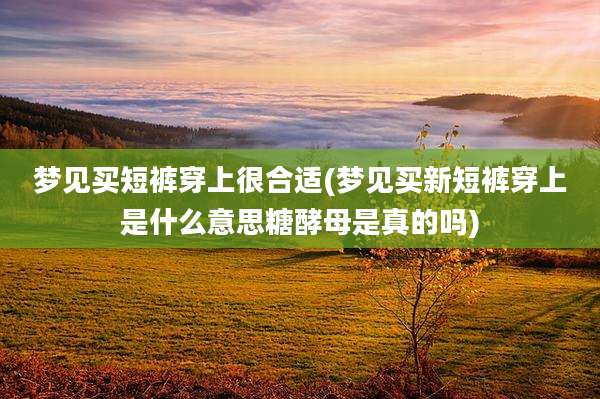 梦见买短裤穿上很合适(梦见买新短裤穿上是什么意思糖酵母是真的吗)
