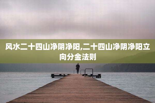 风水二十四山净阴净阳,二十四山净阴净阳立向分金法则