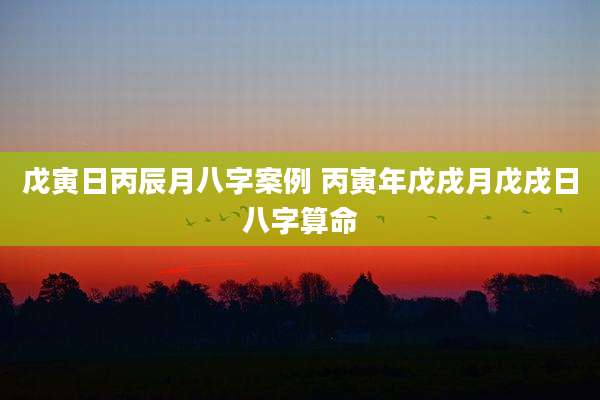 戊寅日丙辰月八字案例 丙寅年戊戌月戊戌日八字算命