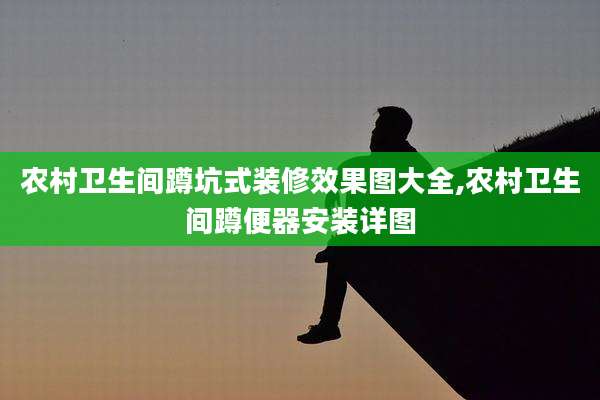 农村卫生间蹲坑式装修效果图大全,农村卫生间蹲便器安装详图
